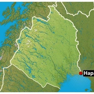 12 Tonnen Snus nach Finnland geschmuggelt