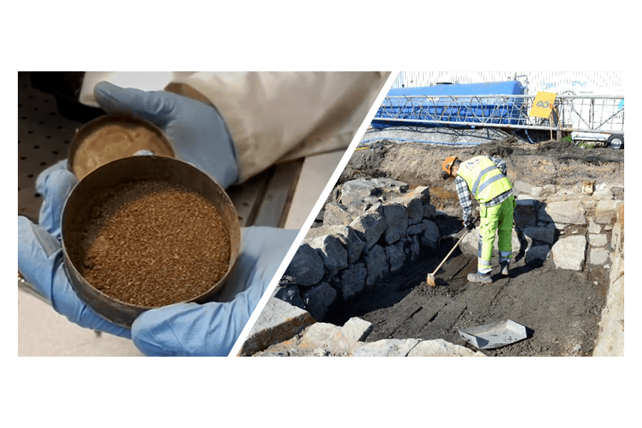 300 Jahre altes Snus in Norrköping gefunden