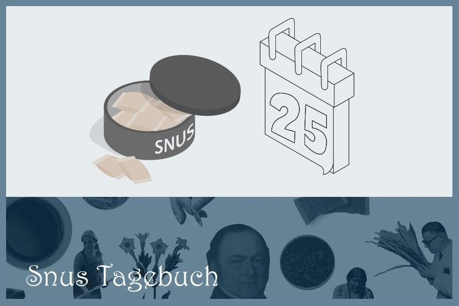 Das Snusjahr 2019