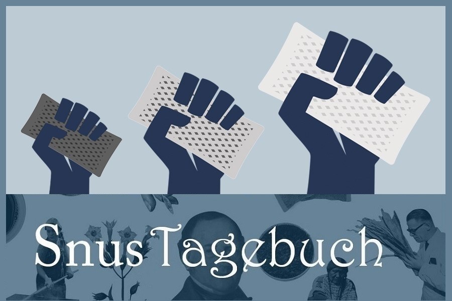 Die Revolution der Nikotinbeutel