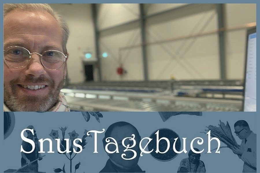 Ein Abend im Snuslager
