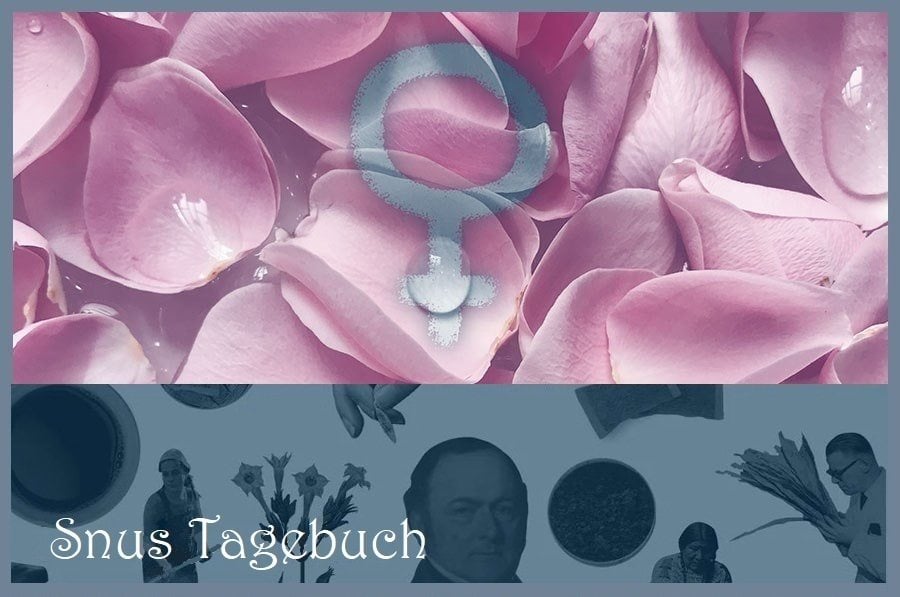 Internationaler Frauentag - für ein gleichberechtigteres Snusen