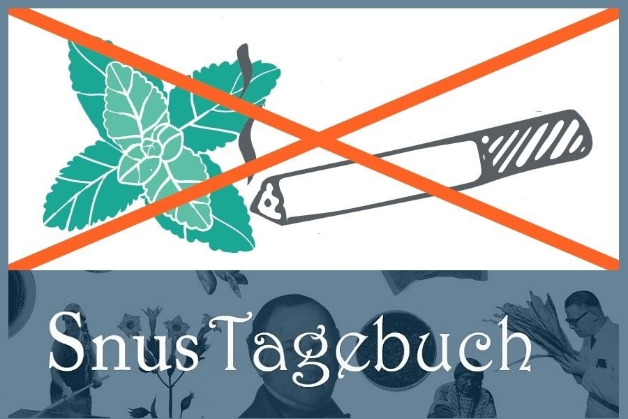 Mentholzigaretten werden verboten - aber nicht Minzsnus