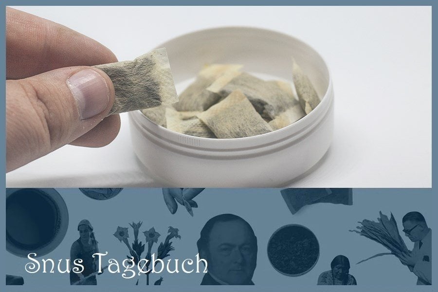 Neue Studie: